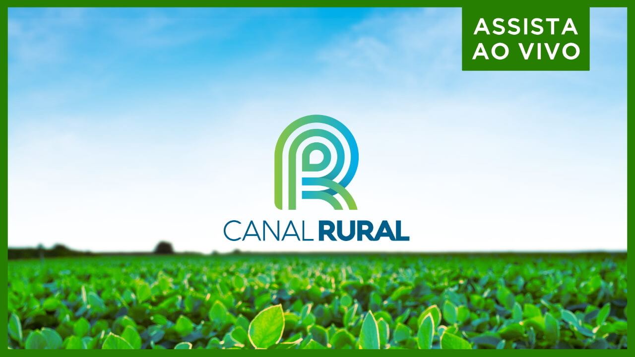 Canal Rural Ao Vivo